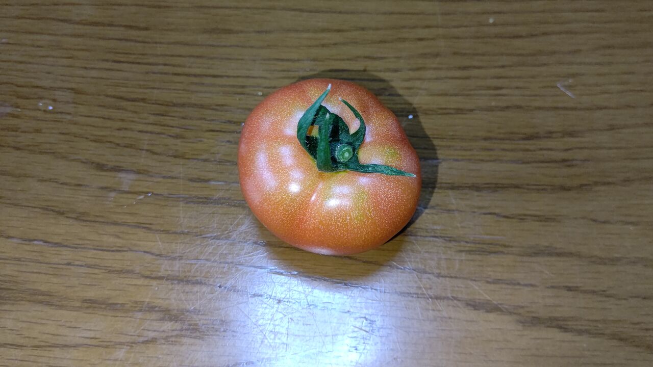 トマトの成績が今１つですな 去年よりかは まだマシではあるが 趣味のツボ