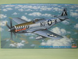 hasegawa48p-51d
