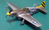 accurate_mini_48_p51c_05_2