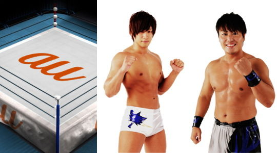 プロレスイメージ図