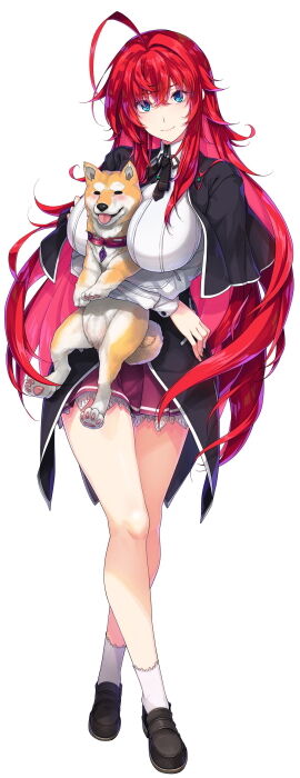 ハイスクールD×D