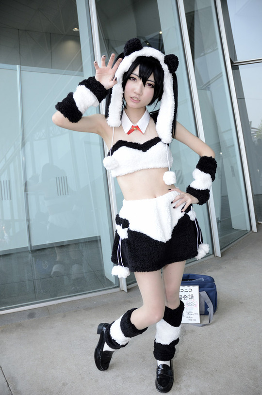 ss-NC1_3420_001coller