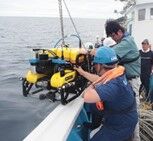 ROV