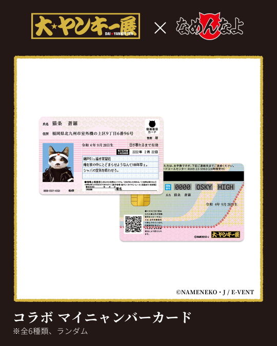 コラボ マイニャンバーカード