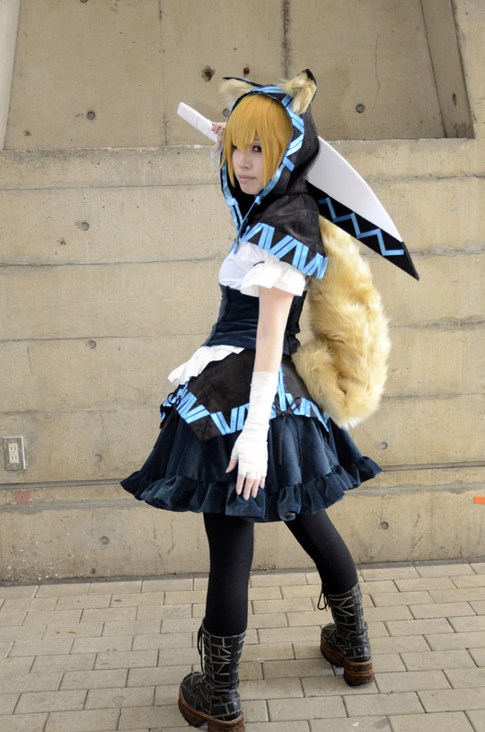 ss-TKG_3104_001coller