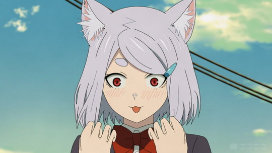 ヤニねこ第3位