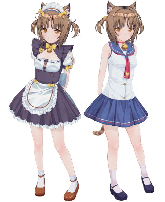 セットアズキ