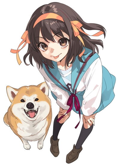 涼宮ハルヒの憂鬱