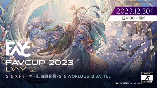 FAVCUP2023 DAY2