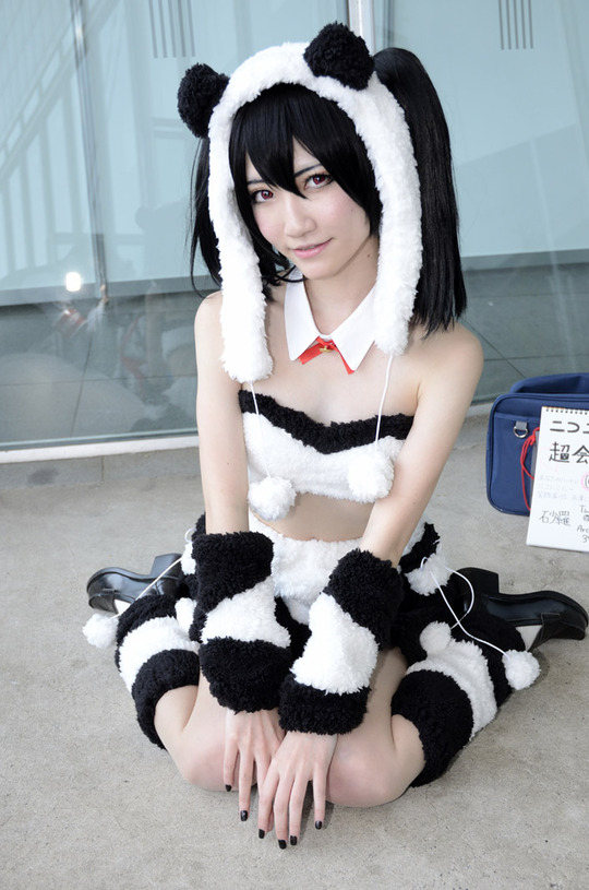 ss-NC1_3427_001coller