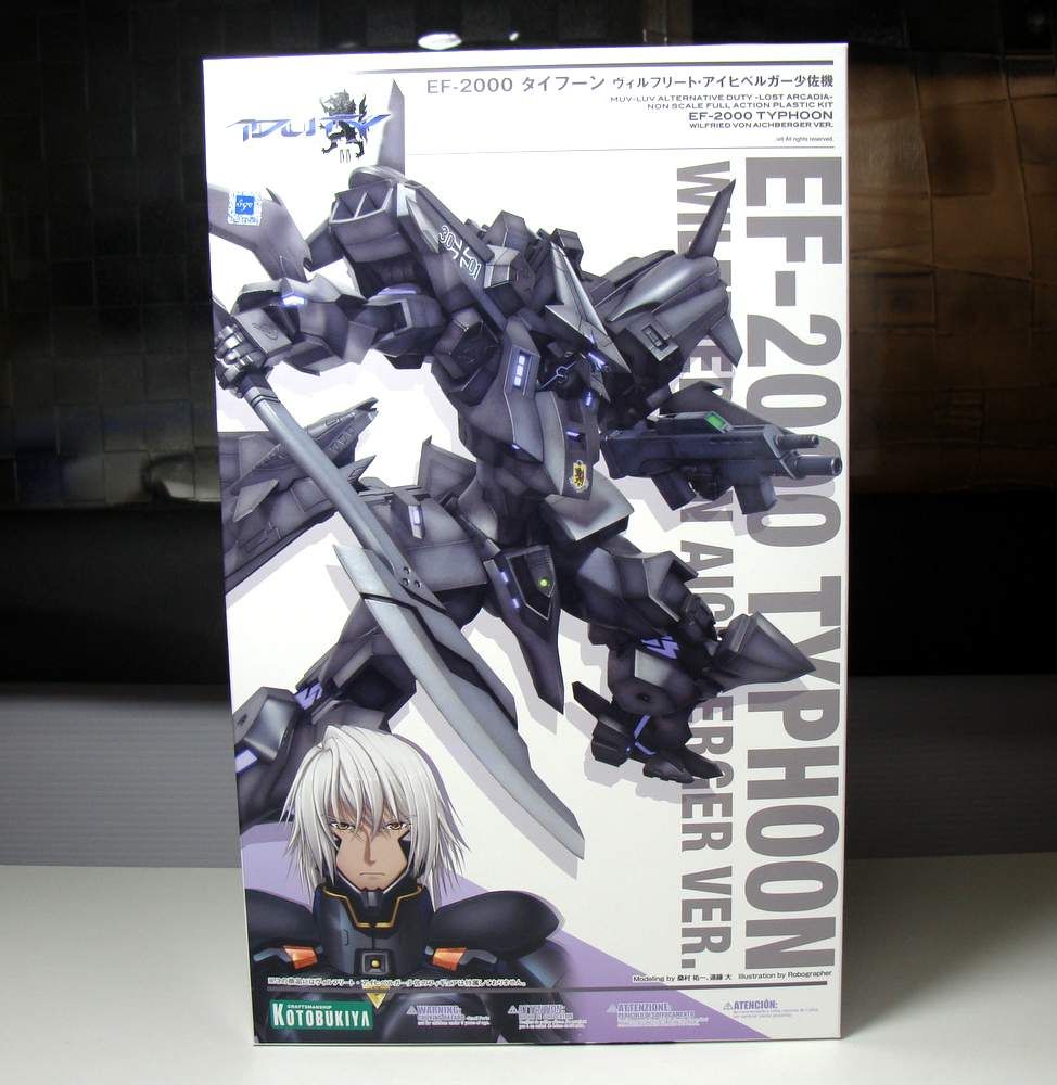 Ef 00 タイフーン ヴィルフリート アイヒベルガー少佐機 製作01 パチ組み その１ こーのーどちゃかてきんl 立体版