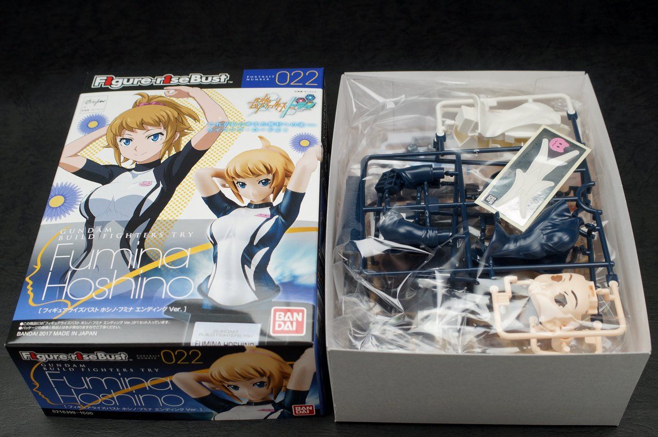 フィギュアライズバスト ホシノ フミナ エンディングver 製作01 開封 パチ組み こーのーどちゃかてきんl 立体版