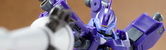 DSC03838-003