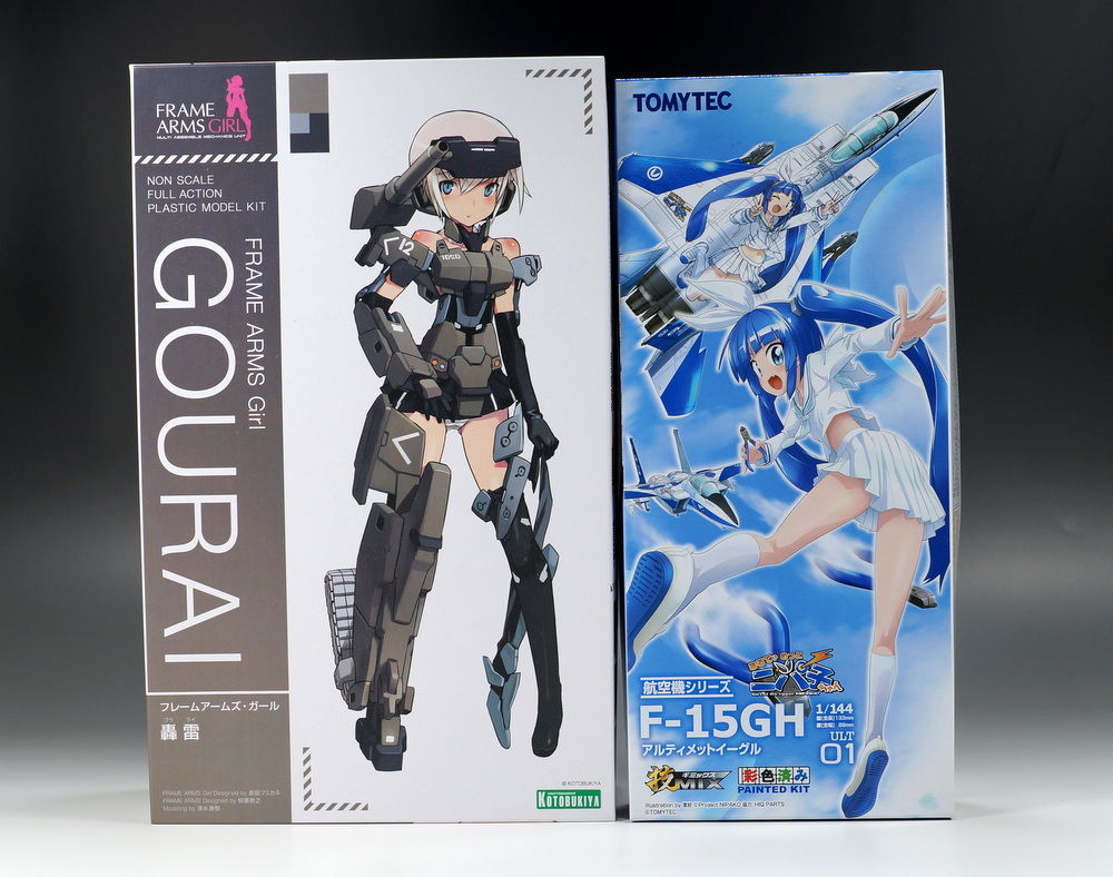 技MIX 1/144 F-15GH アルティメットイーグル パチ組みレビュー！ : こ