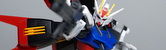 DSC03838-003