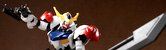 DSC03838-003