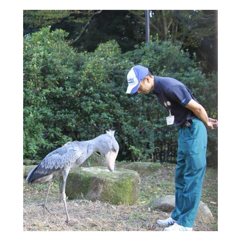 https://livedoor.blogimg.jp/hobo2ch/imgs/2/b/2b1dc189.png