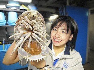 https://livedoor.blogimg.jp/hobo2ch/imgs/5/1/51453ca0.jpg