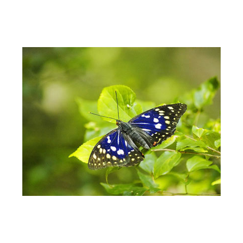 https://livedoor.blogimg.jp/hobo2ch/imgs/6/4/640f41ae.png