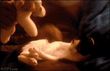 https://livedoor.blogimg.jp/hobo2ch/imgs/f/4/f42726cb.gif