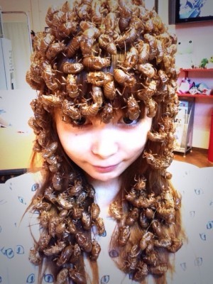 https://livedoor.blogimg.jp/hobo2ch/imgs/f/e/fe35c015.jpg