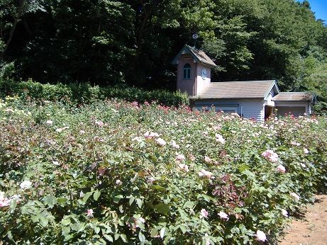 2011_0716_141559-DSCF4033