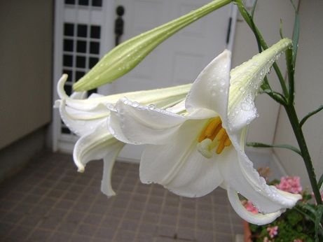 2011_0821_184844-DSCF4140