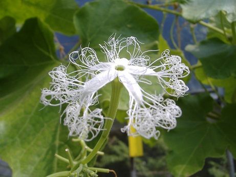 2010_0818_131641-DSCF3275