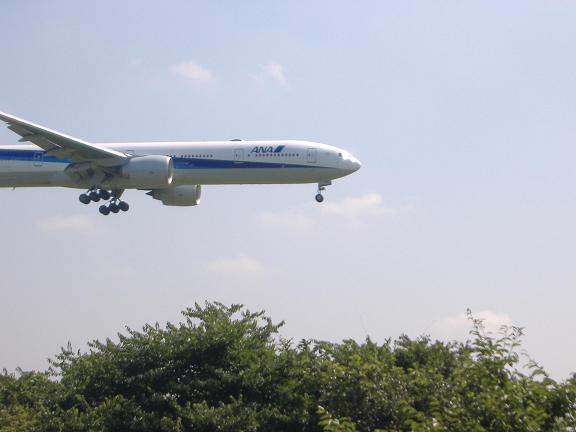 0ea74230.jpg