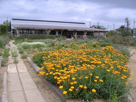 2011_0506_131526-DSCF3837