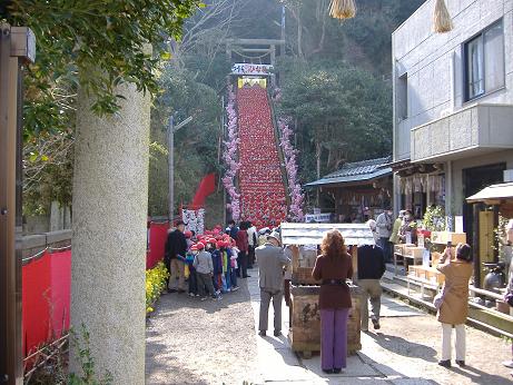 2010_0224画像0002