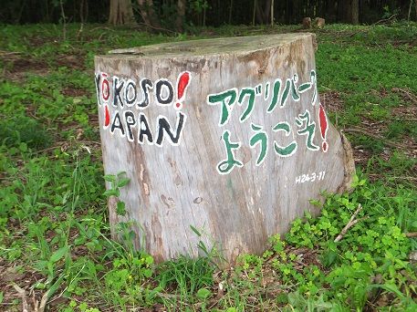DSCF0865