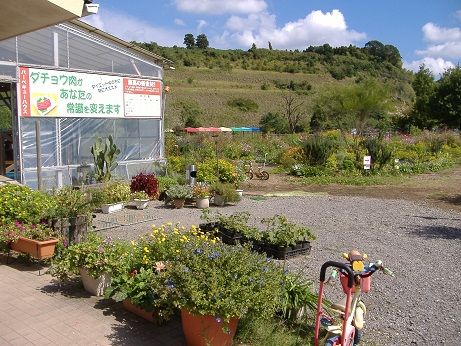 2010_1008_142643-DSCF3391