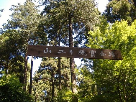 2011_0716_140623-DSCF4030