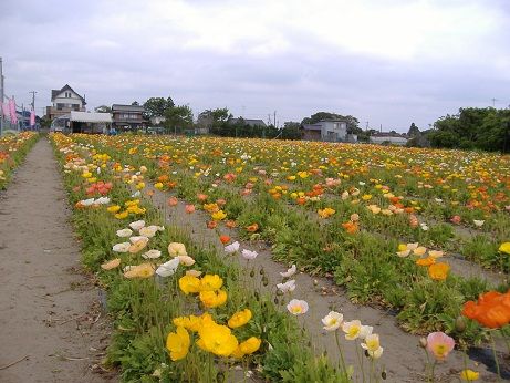 2011_0506_133517-DSCF3843