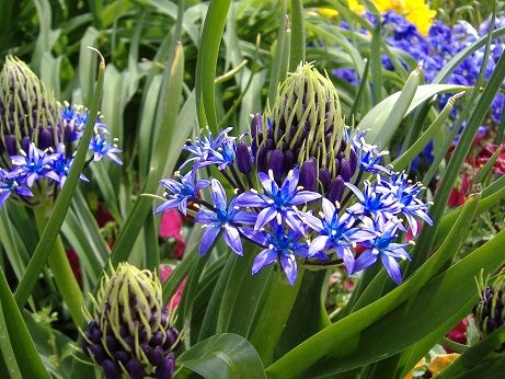 2011_0506_132301-DSCF3839