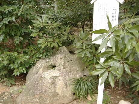 2010_0328画像0016