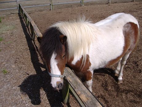 2010_1008_140218-DSCF3368