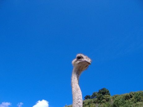 2010_1008_140421-DSCF3370