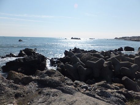 DSCF0401
