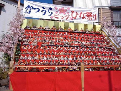 2010_0224画像0001