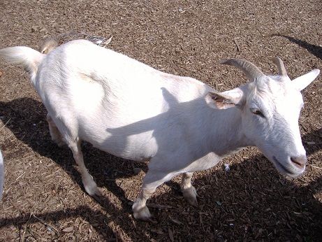 2010_1008_134814-DSCF3344