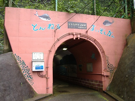 2010_0713_132730-DSCF3213