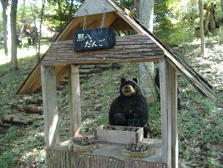 2010_1002_134002-DSCF3327