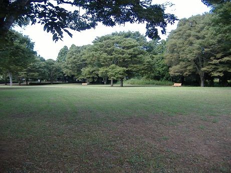 2010_0903_123929-DSCF3289