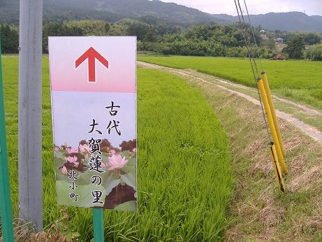 2011_0704_144056-DSCF4007