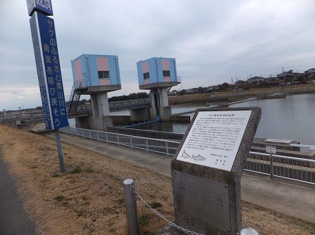DSCF2655