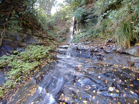2010_1125_132243-DSCF3472