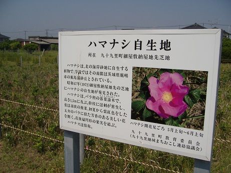 2011_0518_133533-DSCF3845