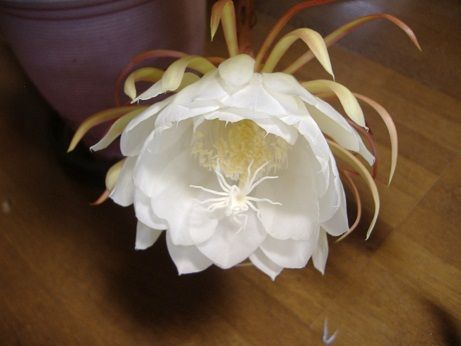 2011_0815_005938-DSCF4131